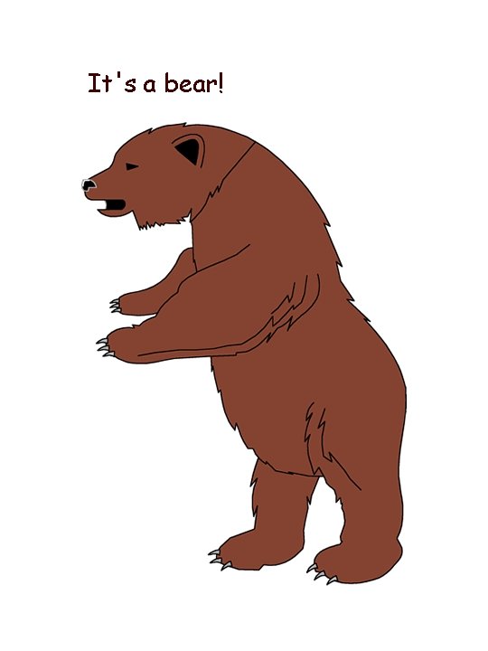 It's a bear! 