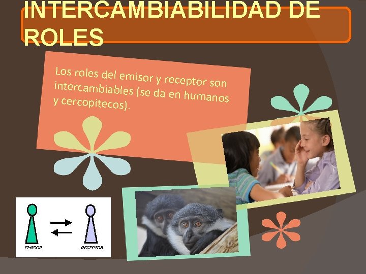 INTERCAMBIABILIDAD DE ROLES Los roles del emis or y receptor son intercambiables (se da