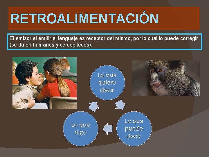 RETROALIMENTACIÓN El emisor al emitir el lenguaje es receptor del mismo, por lo cual