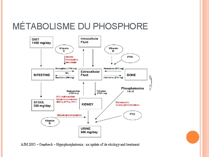 MÉTABOLISME DU PHOSPHORE AJM 2005 – Gaasbeek – Hypophosphatemia : an update of its