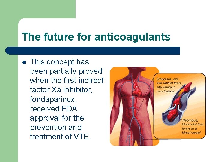 The future for anticoagulants l This concept has been partially proved when the first