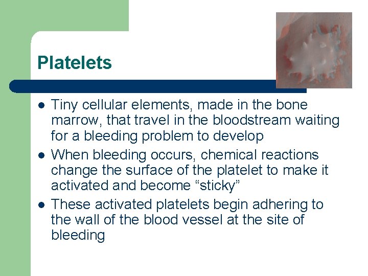 Platelets l l l Tiny cellular elements, made in the bone marrow, that travel