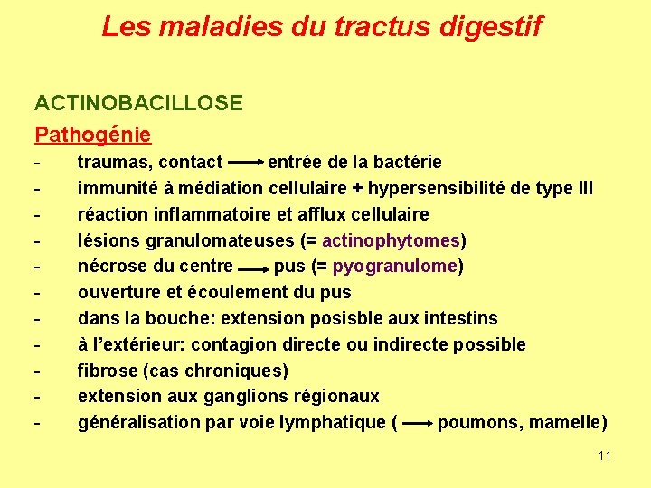 Les maladies du tractus digestif ACTINOBACILLOSE Pathogénie - traumas, contact entrée de la bactérie