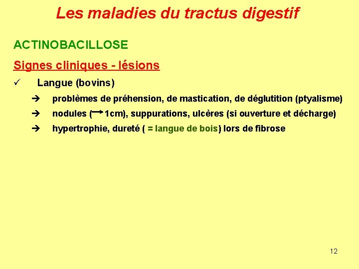 Les maladies du tractus digestif ACTINOBACILLOSE Signes cliniques - lésions ü Langue (bovins) è