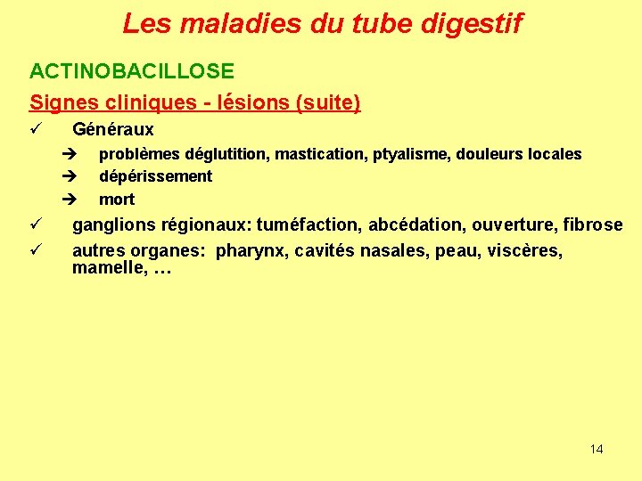 Les maladies du tube digestif ACTINOBACILLOSE Signes cliniques - lésions (suite) ü Généraux è