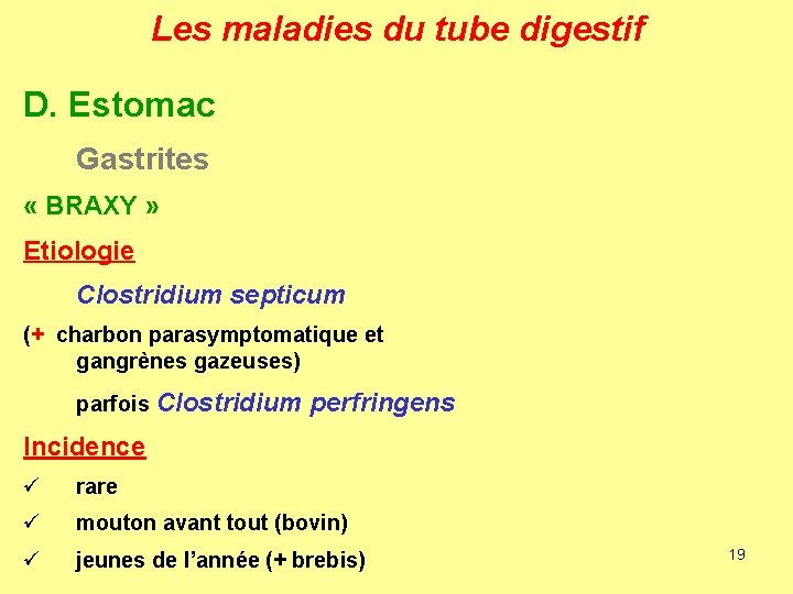 Les maladies du tube digestif D. Estomac Gastrites « BRAXY » Etiologie Clostridium septicum