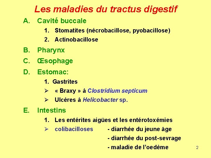 Les maladies du tractus digestif A. Cavité buccale 1. Stomatites (nécrobacillose, pyobacillose) 2. Actinobacillose