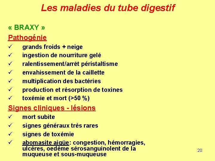 Les maladies du tube digestif « BRAXY » Pathogénie ü ü ü ü grands