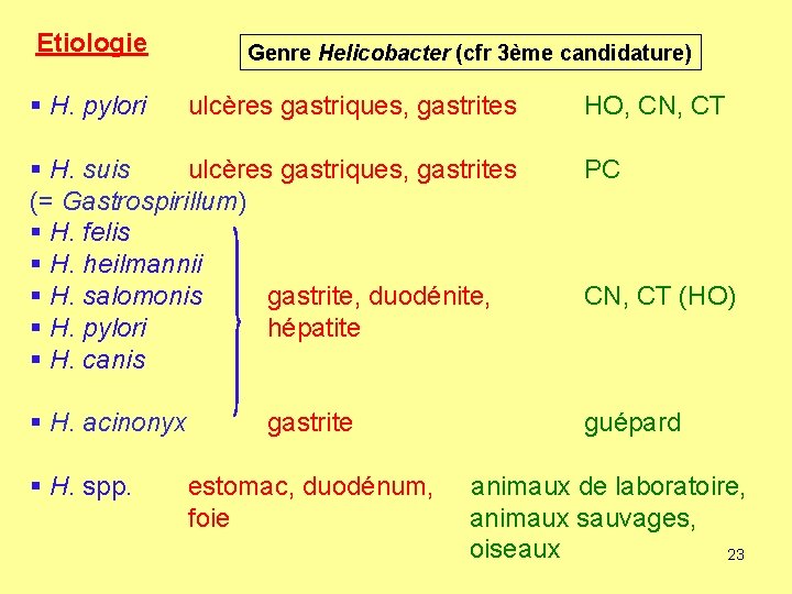 Etiologie § H. pylori Genre Helicobacter (cfr 3ème candidature) ulcères gastriques, gastrites HO, CN,