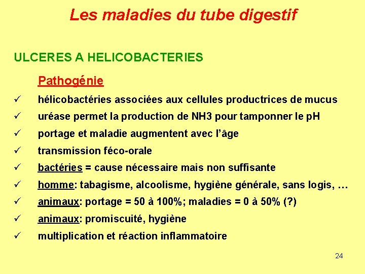 Les maladies du tube digestif ULCERES A HELICOBACTERIES Pathogénie ü hélicobactéries associées aux cellules