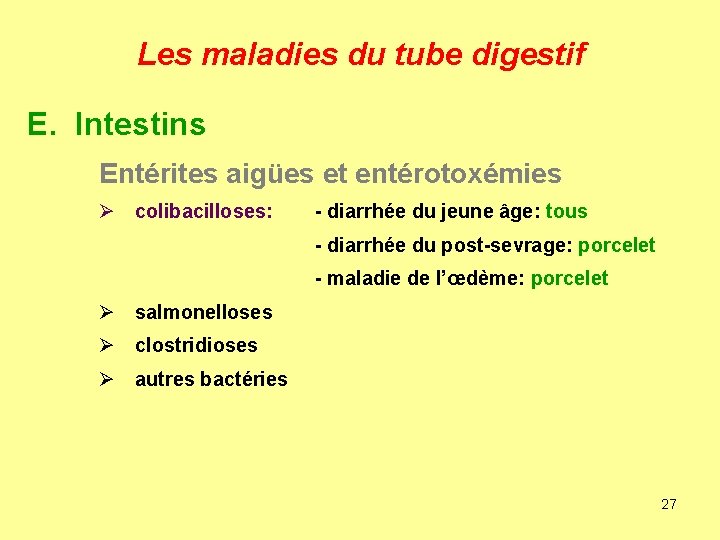 Les maladies du tube digestif E. Intestins Entérites aigües et entérotoxémies Ø colibacilloses: -