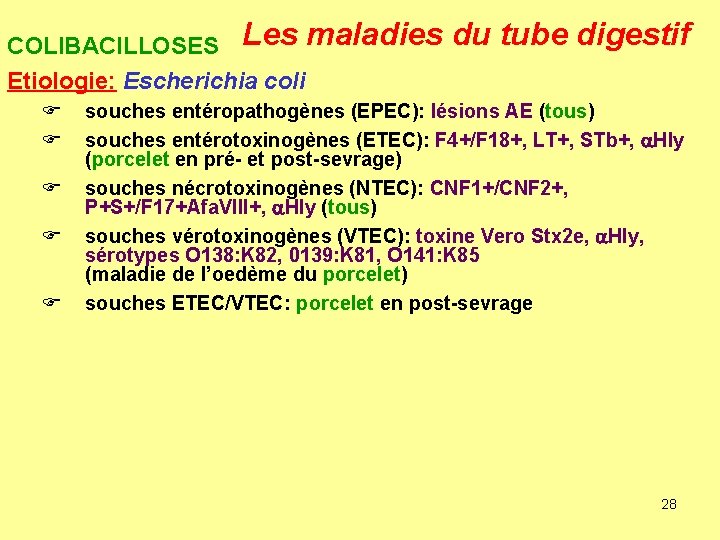 COLIBACILLOSES Les maladies du tube digestif Etiologie: Escherichia coli F F F souches entéropathogènes