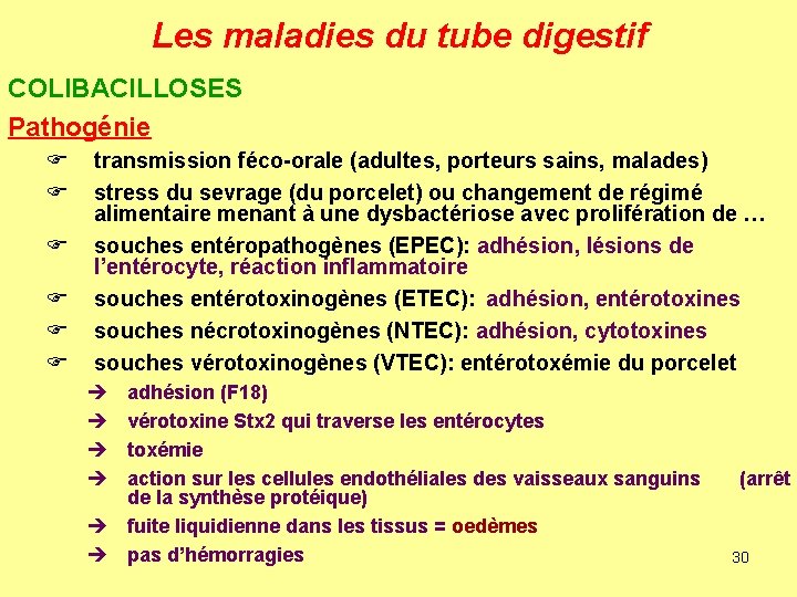 Les maladies du tube digestif COLIBACILLOSES Pathogénie F F F transmission féco-orale (adultes, porteurs