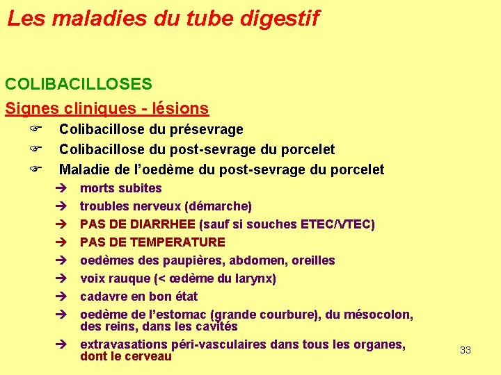 Les maladies du tube digestif COLIBACILLOSES Signes cliniques - lésions F F F Colibacillose