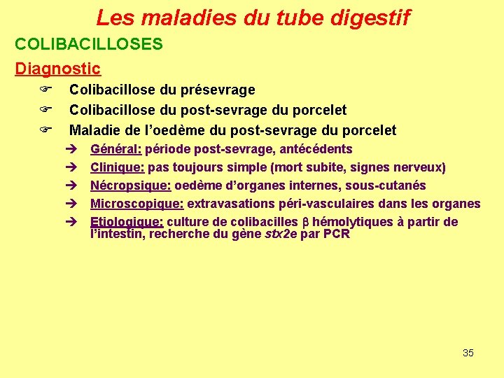 Les maladies du tube digestif COLIBACILLOSES Diagnostic F F F Colibacillose du présevrage Colibacillose