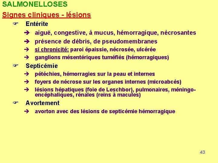 SALMONELLOSES Signes cliniques - lésions F Entérite è aiguë, congestive, à mucus, hémorragique, nécrosantes