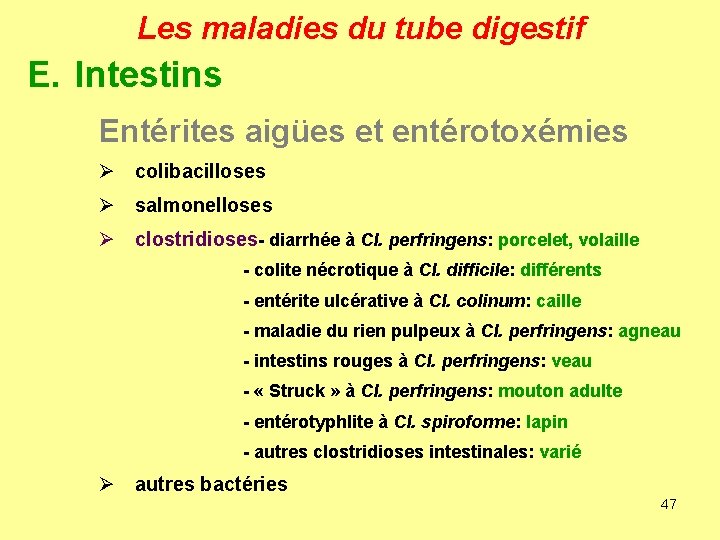 Les maladies du tube digestif E. Intestins Entérites aigües et entérotoxémies Ø colibacilloses Ø