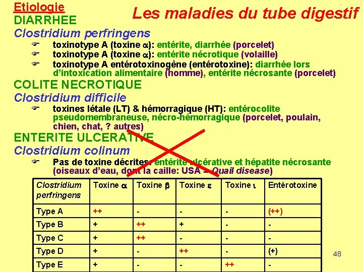 Etiologie Les maladies du tube digestif DIARRHEE Clostridium perfringens F F F toxinotype A