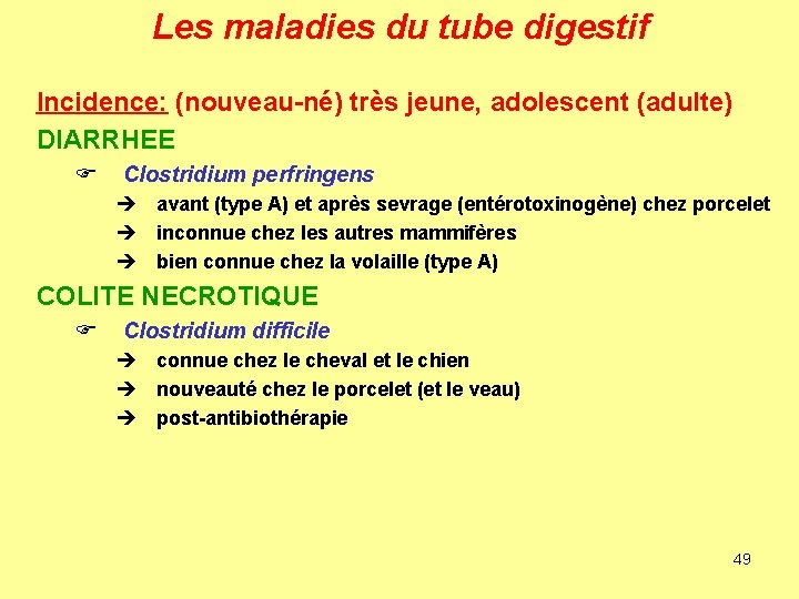 Les maladies du tube digestif Incidence: (nouveau-né) très jeune, adolescent (adulte) DIARRHEE F Clostridium