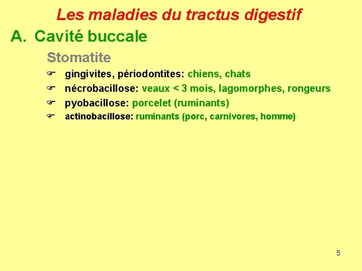 Les maladies du tractus digestif A. Cavité buccale Stomatite F gingivites, périodontites: chiens, chats