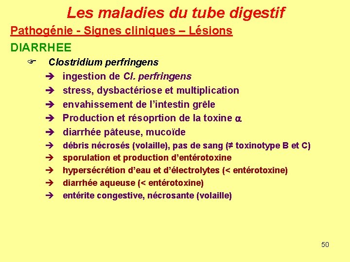 Les maladies du tube digestif Pathogénie - Signes cliniques – Lésions DIARRHEE F Clostridium