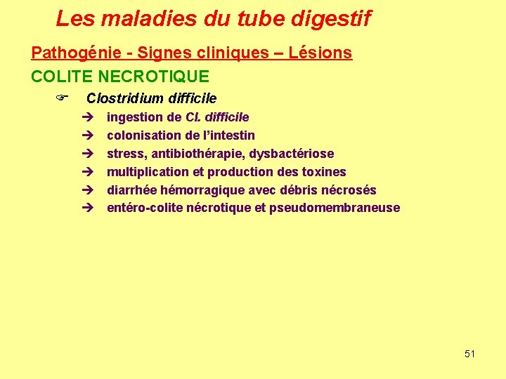 Les maladies du tube digestif Pathogénie - Signes cliniques – Lésions COLITE NECROTIQUE F