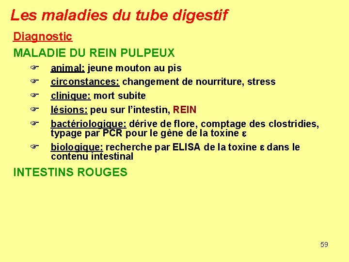 Les maladies du tube digestif Diagnostic MALADIE DU REIN PULPEUX F F F animal: