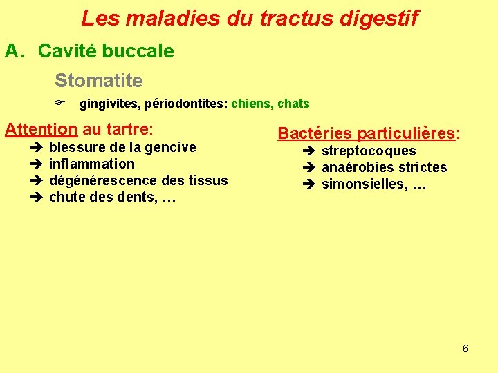 Les maladies du tractus digestif A. Cavité buccale Stomatite F gingivites, périodontites: chiens, chats