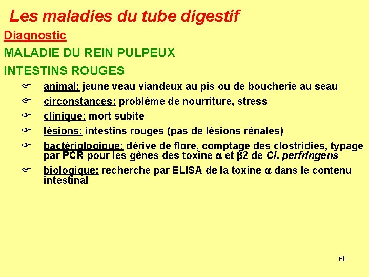 Les maladies du tube digestif Diagnostic MALADIE DU REIN PULPEUX INTESTINS ROUGES F F