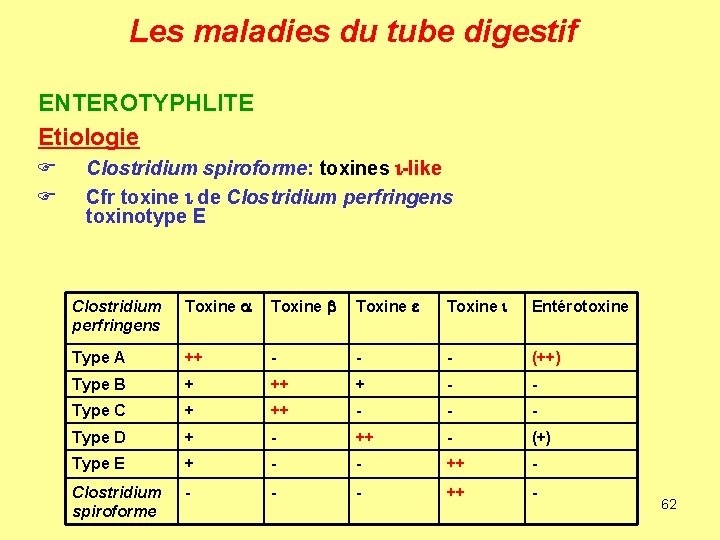 Les maladies du tube digestif ENTEROTYPHLITE Etiologie F F Clostridium spiroforme: toxines i-like Cfr