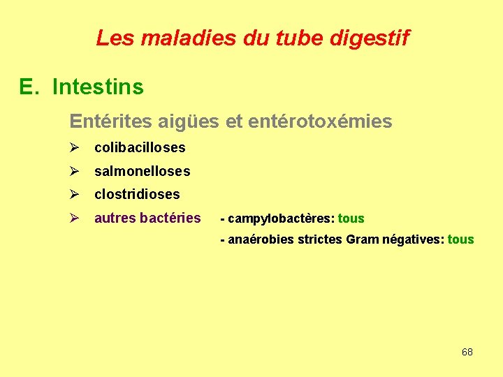 Les maladies du tube digestif E. Intestins Entérites aigües et entérotoxémies Ø colibacilloses Ø