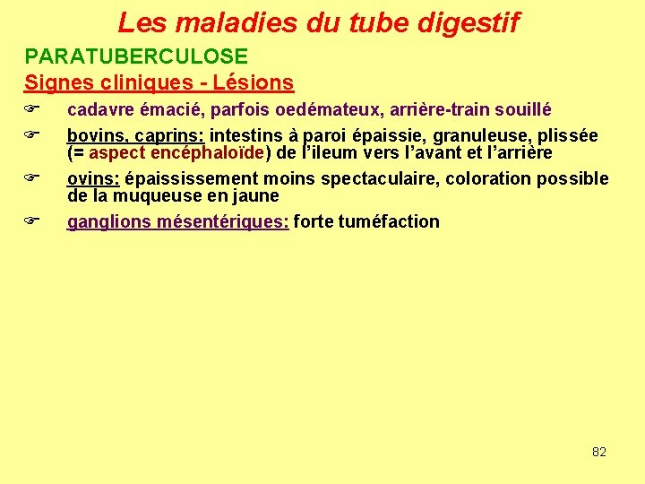 Les maladies du tube digestif PARATUBERCULOSE Signes cliniques - Lésions F F cadavre émacié,