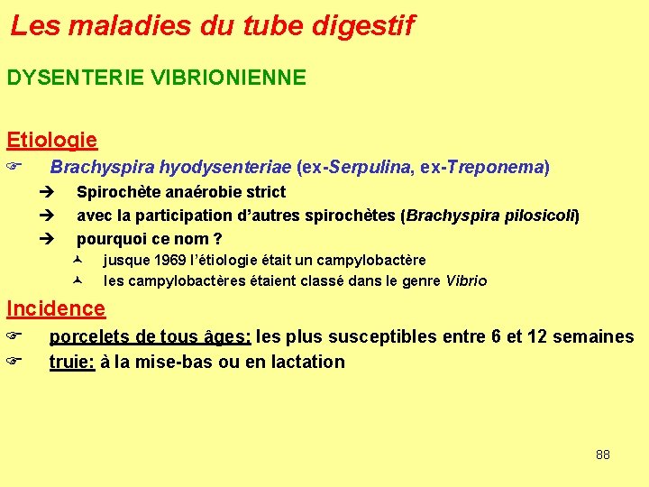 Les maladies du tube digestif DYSENTERIE VIBRIONIENNE Etiologie F Brachyspira hyodysenteriae (ex-Serpulina, ex-Treponema) è