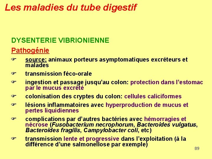 Les maladies du tube digestif DYSENTERIE VIBRIONIENNE Pathogénie F F F F source: animaux