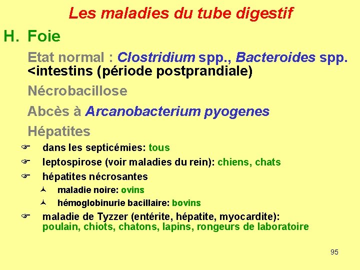 Les maladies du tube digestif H. Foie Etat normal : Clostridium spp. , Bacteroides