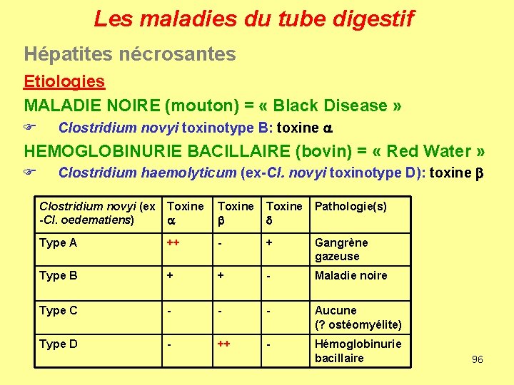 Les maladies du tube digestif Hépatites nécrosantes Etiologies MALADIE NOIRE (mouton) = « Black