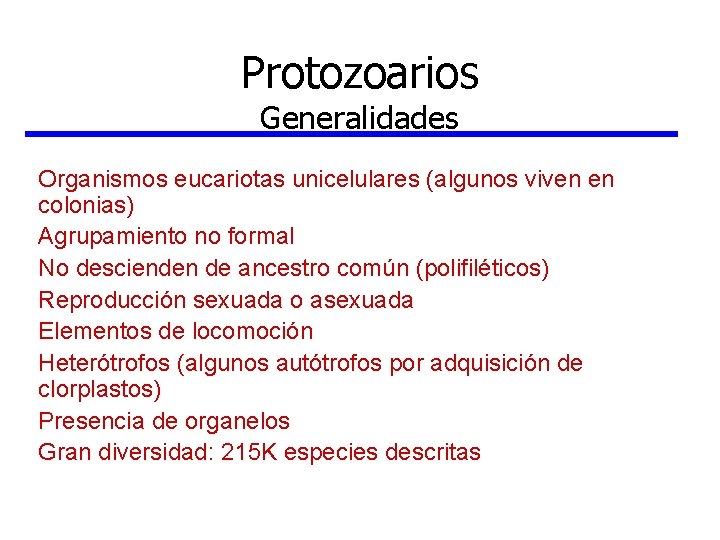 Protozoarios Generalidades Organismos eucariotas unicelulares (algunos viven en colonias) Agrupamiento no formal No descienden