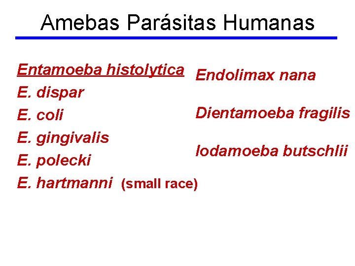 Amebas Parásitas Humanas Entamoeba histolytica Endolimax nana E. dispar Dientamoeba fragilis E. coli E.