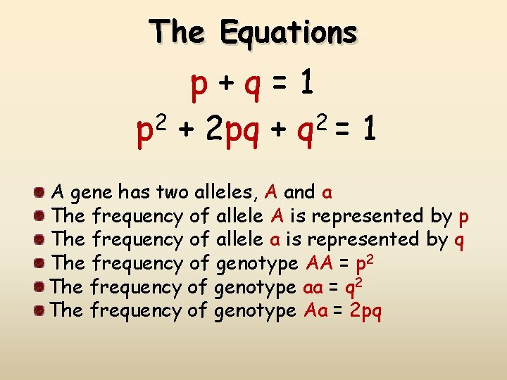 The Equations p+q=1 p 2 + 2 pq + q 2 = 1 A