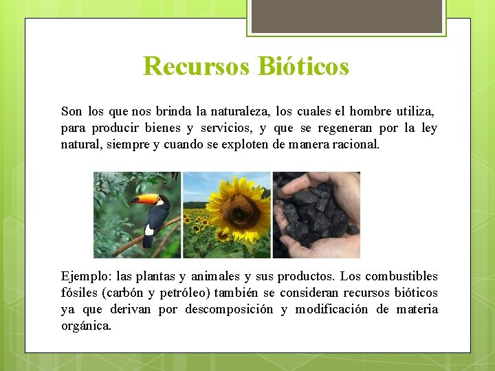 Recursos Bióticos Son los que nos brinda la naturaleza, los cuales el hombre utiliza,