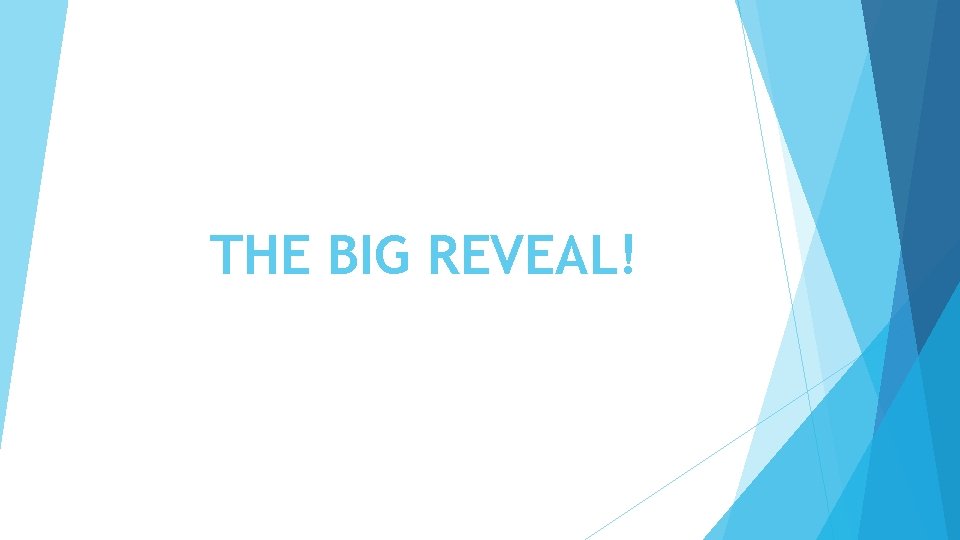 THE BIG REVEAL! 