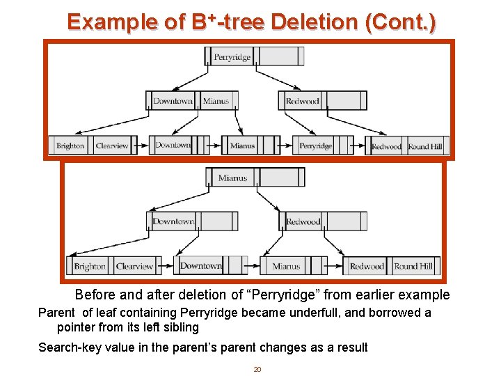 Example of B+-tree Deletion (Cont. ) Before and after deletion of “Perryridge” from earlier