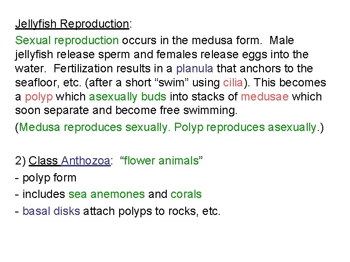 Jellyfish Reproduction: Sexual reproduction occurs in the medusa form. Male jellyfish release sperm and Jellyfish Reproduction: Sexual reproduction occurs in the medusa form. Male jellyfish release sperm and