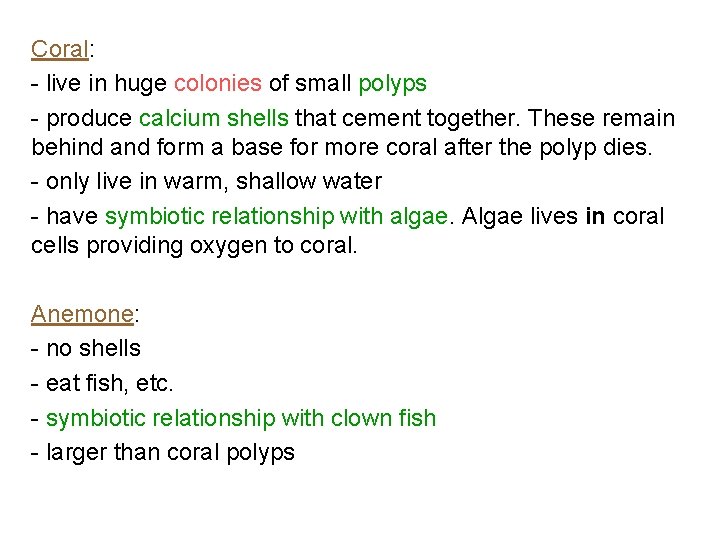 Coral: - live in huge colonies of small polyps - produce calcium shells that Coral: - live in huge colonies of small polyps - produce calcium shells that