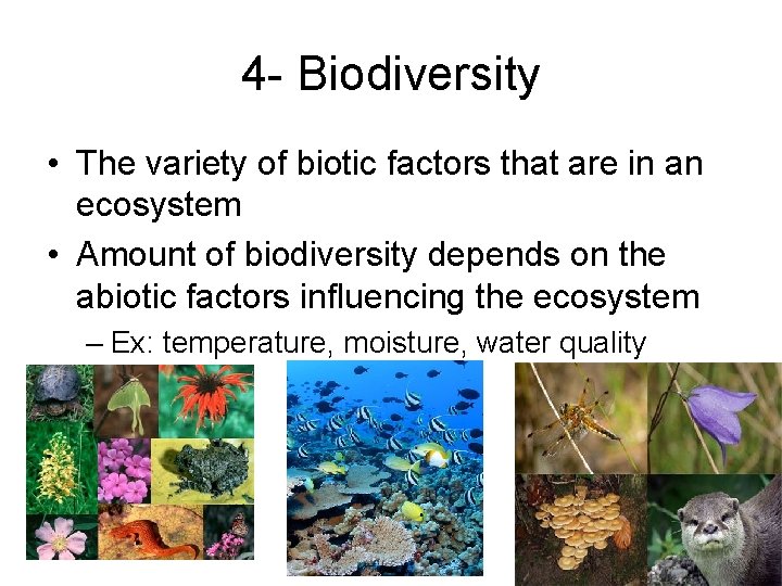 4 - Biodiversity • The variety of biotic factors that are in an ecosystem