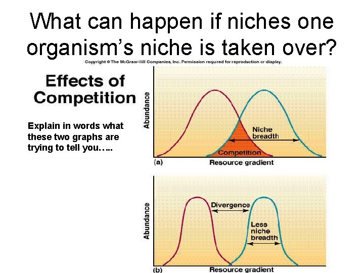 What can happen if niches one organism’s niche is taken over? Explain in words