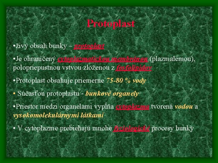 Protoplast • živý obsah bunky – protoplast • Je ohraničený cytoplazmatickou membránou (plazmalemou), polopriepustnou Protoplast • živý obsah bunky – protoplast • Je ohraničený cytoplazmatickou membránou (plazmalemou), polopriepustnou