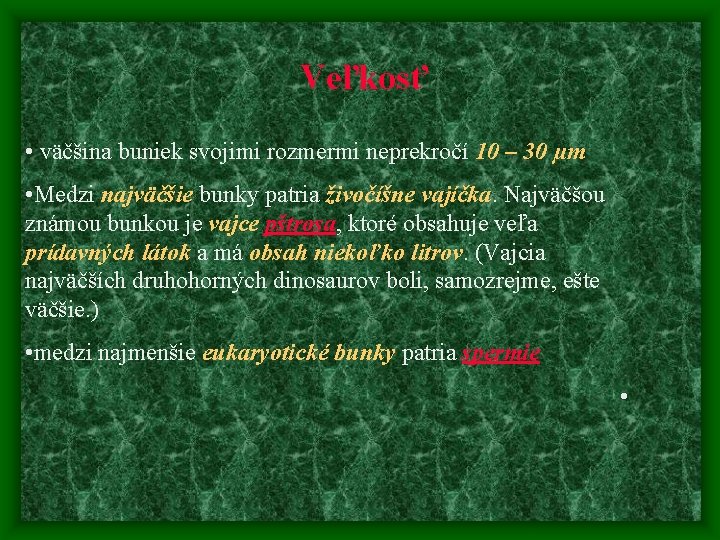 Veľkosť • väčšina buniek svojimi rozmermi neprekročí 10 – 30 µm • Medzi najväčšie Veľkosť • väčšina buniek svojimi rozmermi neprekročí 10 – 30 µm • Medzi najväčšie
