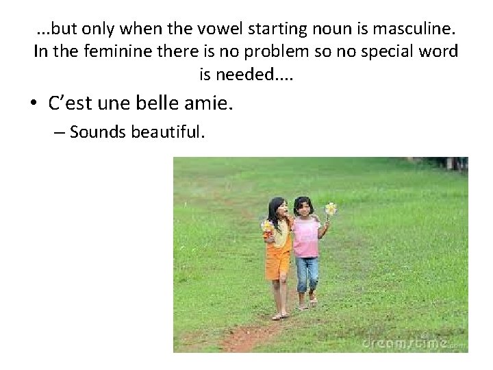 . . . but only when the vowel starting noun is masculine. In the