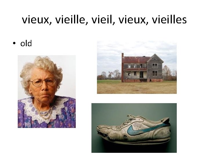 vieux, vieille, vieil, vieux, vieilles • old 